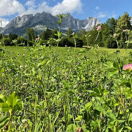Apartment Belle Kitz By Belle