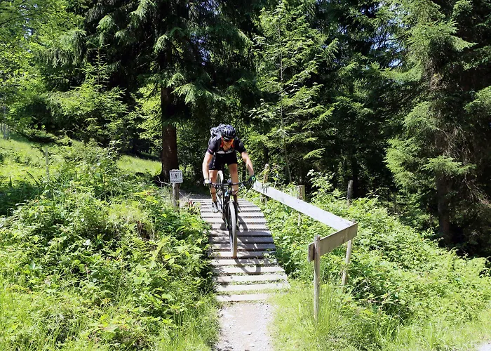 Appartement Belle Kitz By Belle