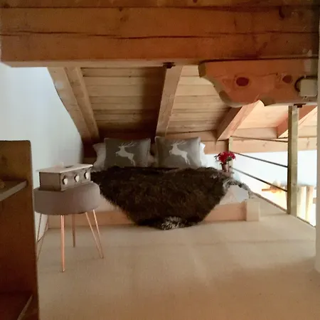 Belle Kitz By Belle *