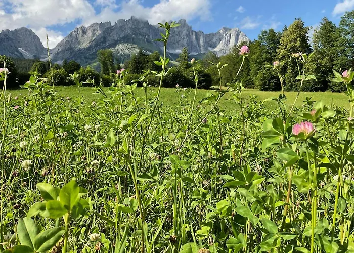 Apartamento Belle Kitz By Belle